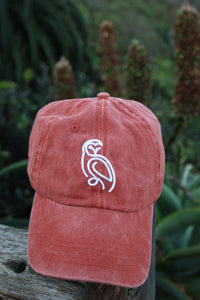 Max Wash Cap