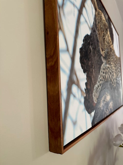 Leopard Canvas Print Placeholder